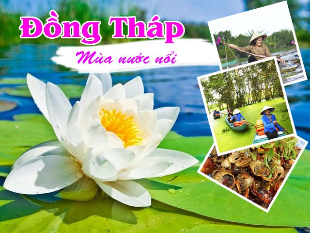 Tour du lịch Đồng Tháp - Tràm Chim mùa nước nổi 2022